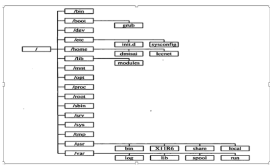 Linux目录初识 