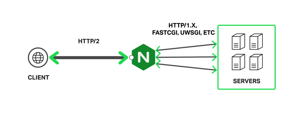 Terminate HTTP/2 and TLS with NGINX diagram