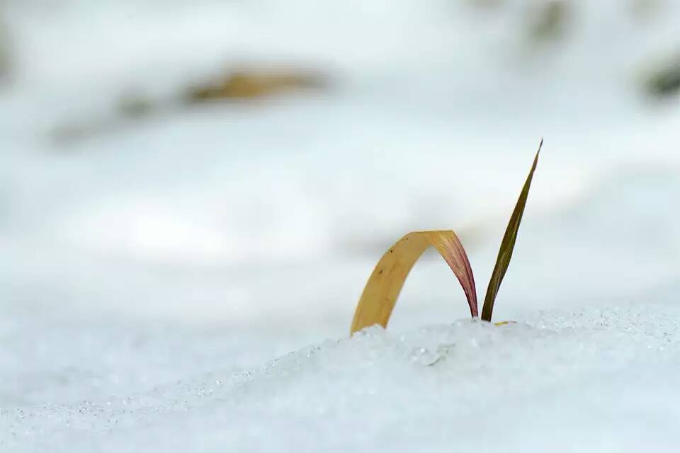 软件，落后制造业二十年