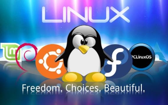 为什么高手离不开Linux系统？