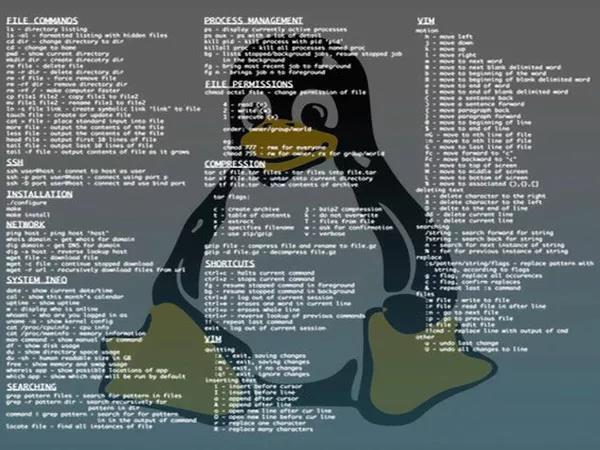 短小强大的8个Linux命令，分分钟帮你提高工作效率！