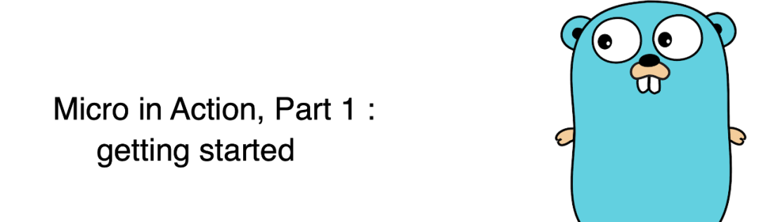 Micro In Action（一）：入门