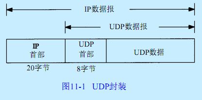 八个字节的 UDP 如何传输数据