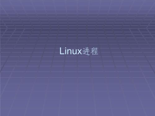 一行代码如何隐藏 Linux 进程？