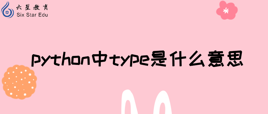 python中type是什么意思？