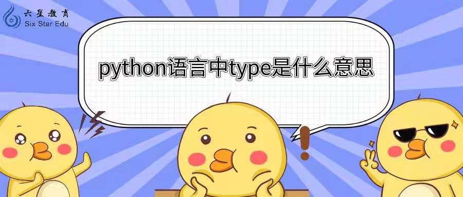 python语言中type是什么意思