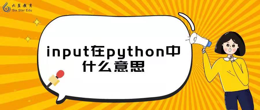 input在python中什么意思？