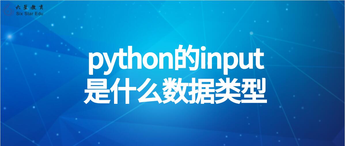 python的input是什么数据类型？