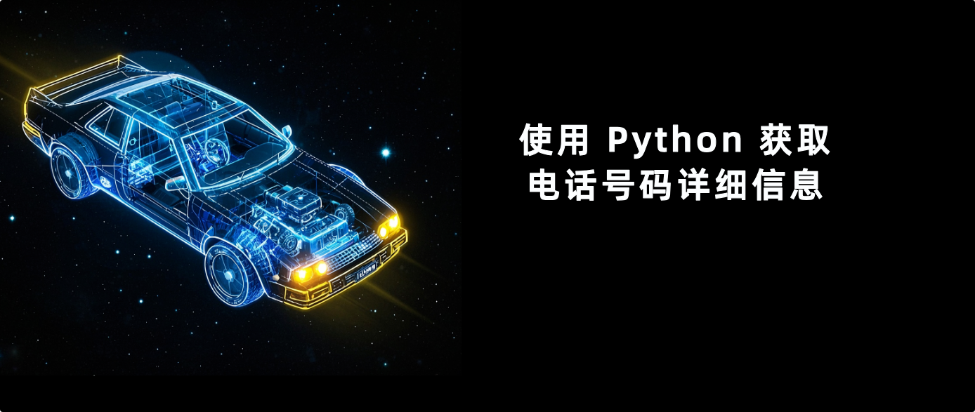 使用 Python 获取电话号码详细信息